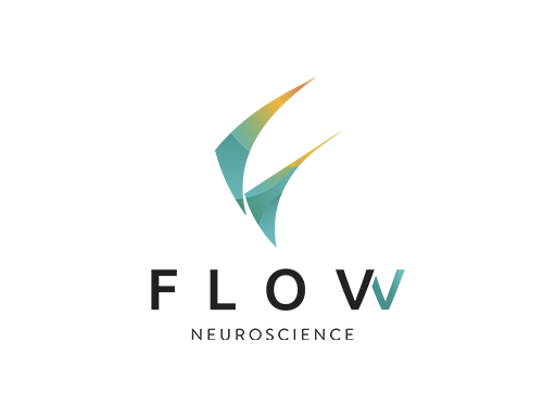 Flow Neuroscience